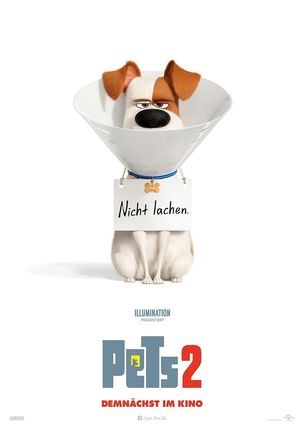Pets 2