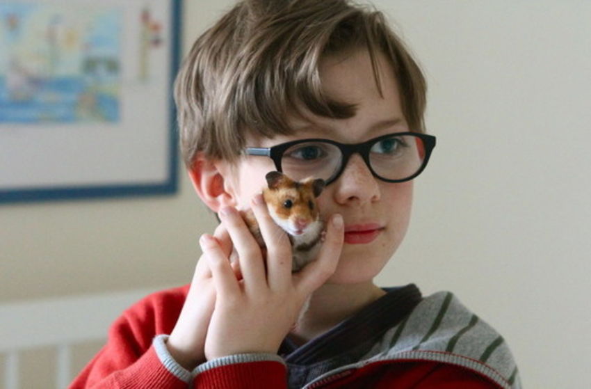 Rettet Raffi! - Szenenbild 2 von 8