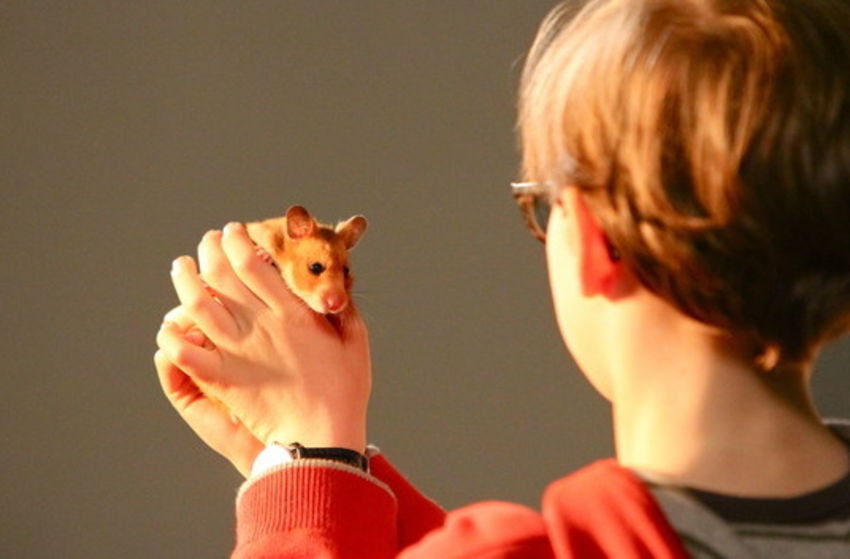 Rettet Raffi! - Szenenbild 6 von 8