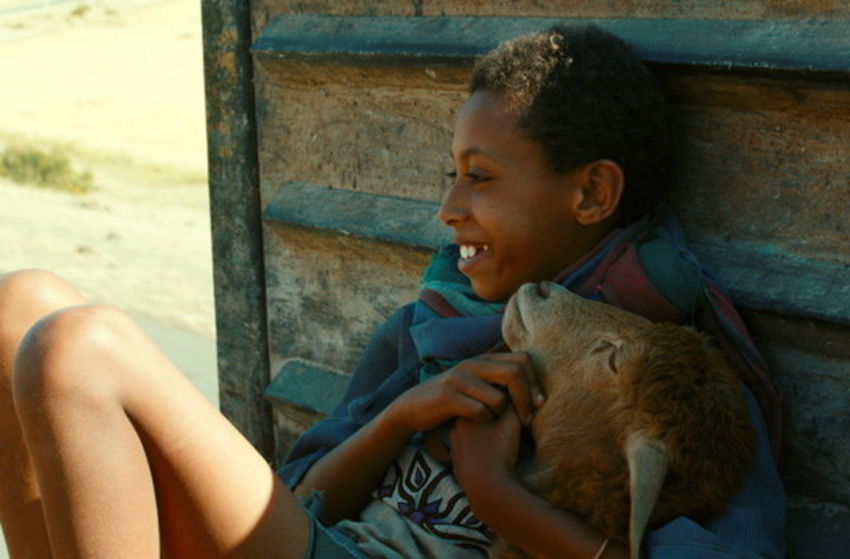 Ephraim und das Lamm - Szenenbild 2 von 3