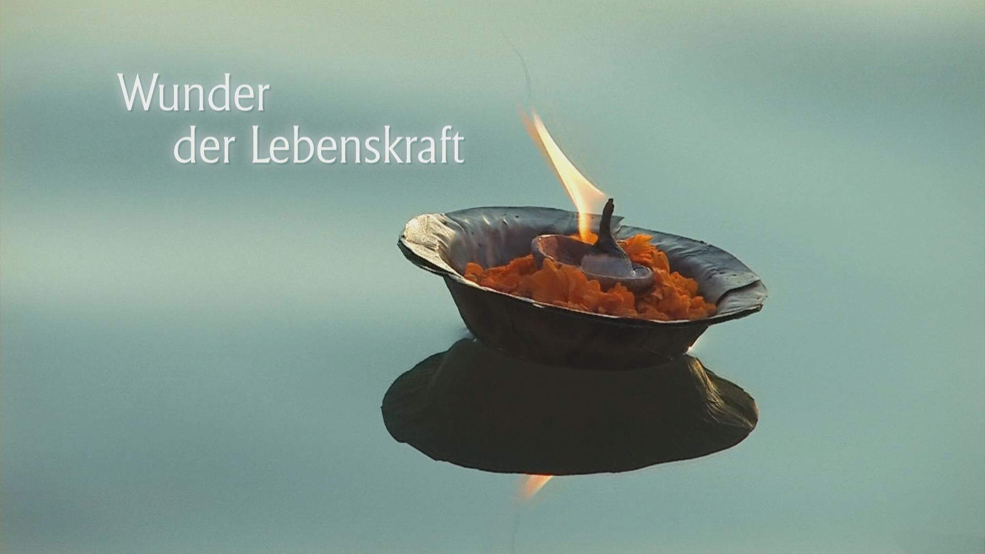 Wunder der Lebenskraft - Szenenbild 24 von 61