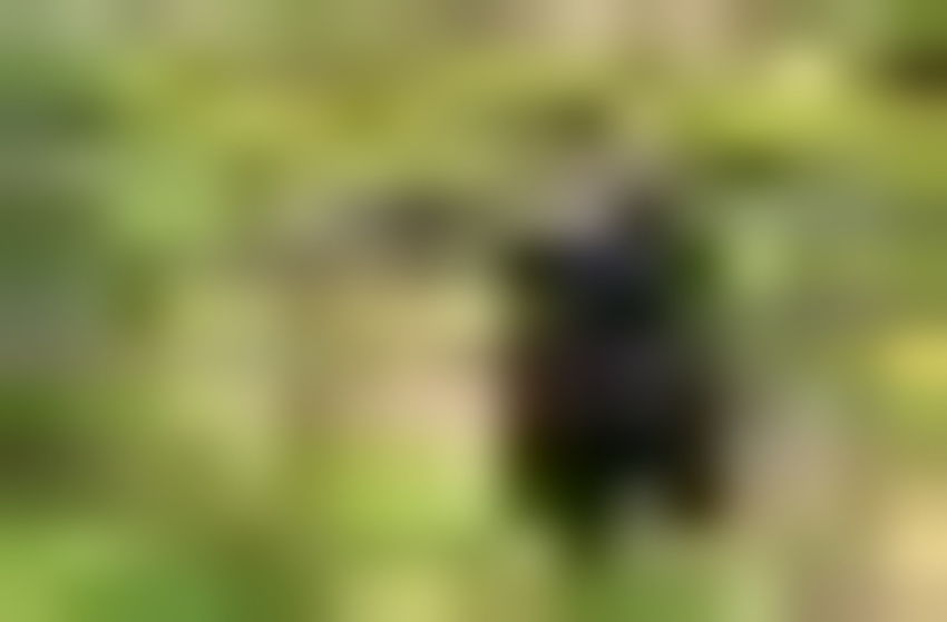 Athos - Im Jenseits dieser Welt - Szenenbild 4 von 6