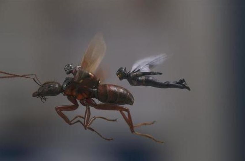 Ant-Man and the Wasp - Szenenbild 1 von 10