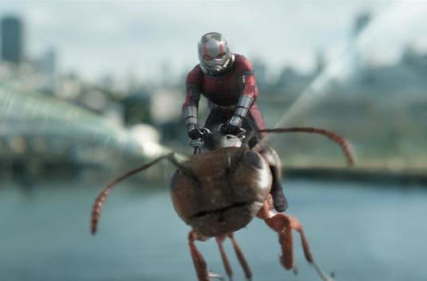 Ant-Man and the Wasp - Szenenbild 10 von 10