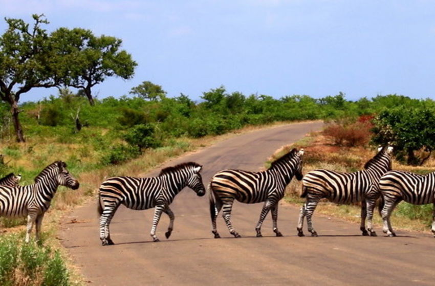 Südafrika - Der Kinofilm - Szenenbild 10 von 27