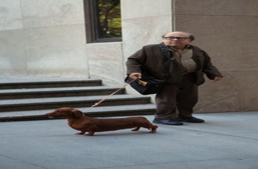 Wiener-Dog - Szenenbild 3 von 8