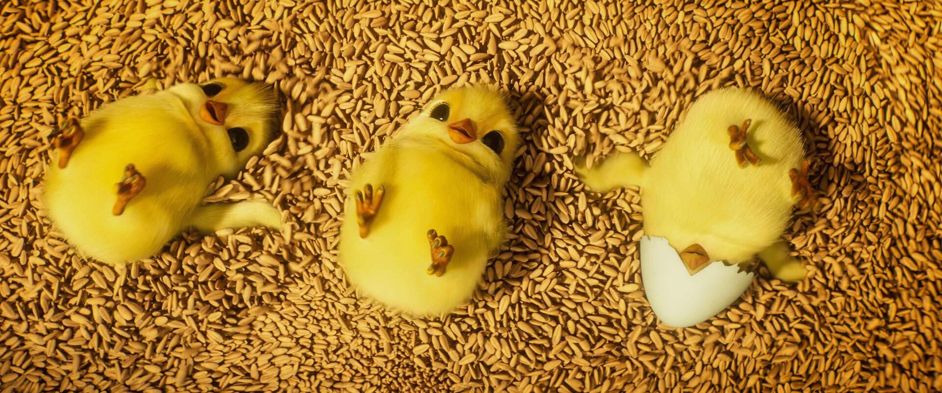Aufstand der Tiere - Szenenbild 7 von 16