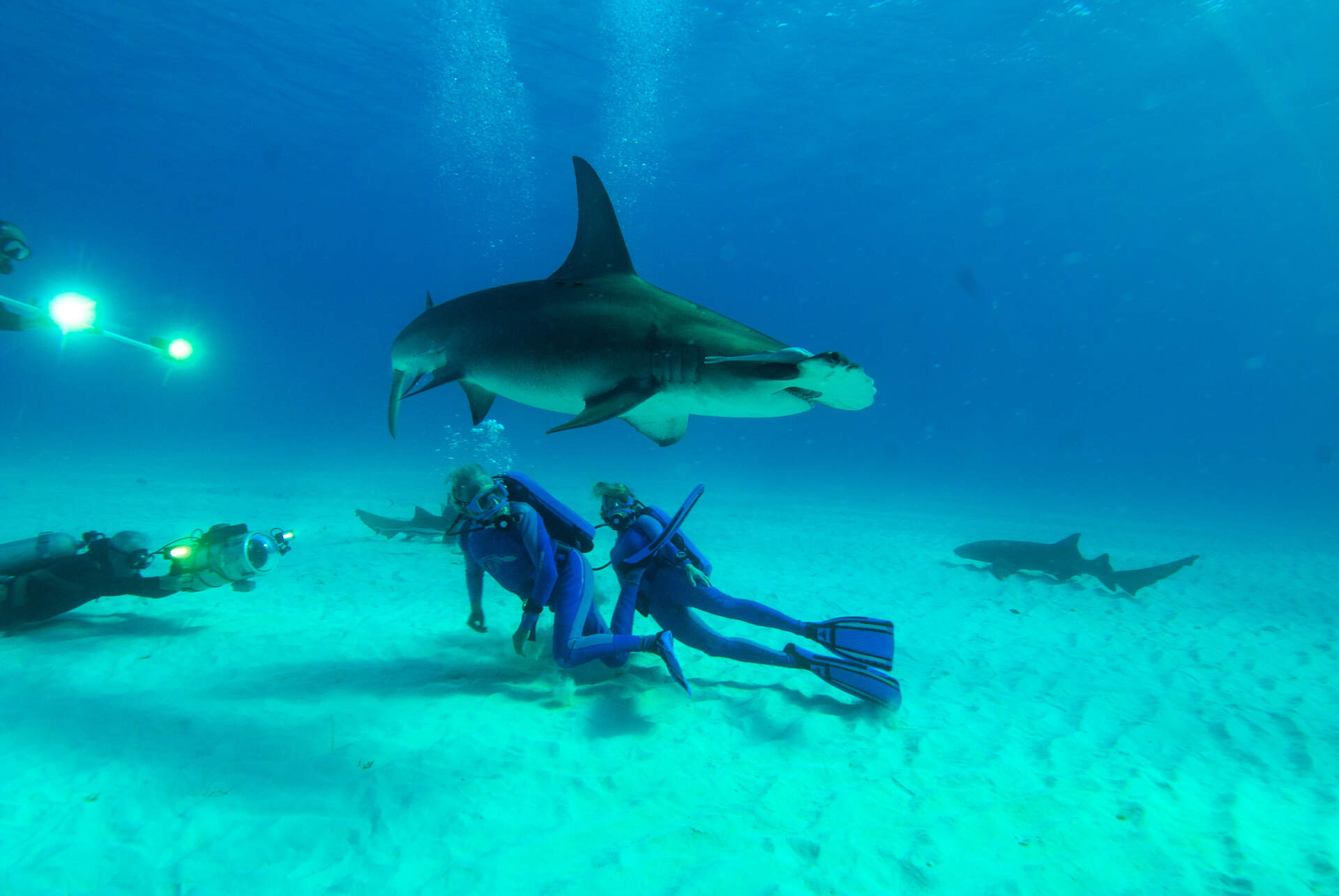 Wonders of the Sea - Szenenbild 2 von 2
