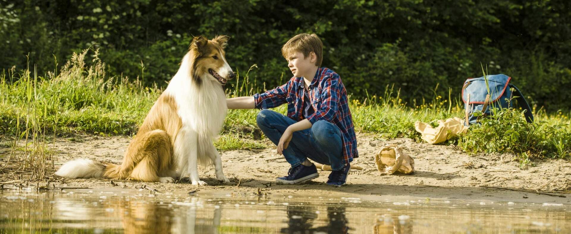 Lassie - Eine abenteuerliche Reise - Szenenbild 4 von 5