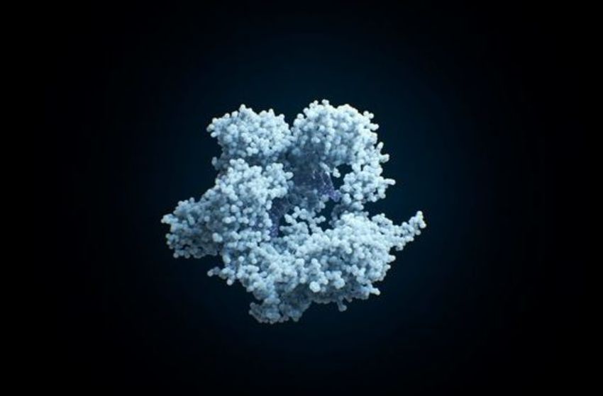 Human Nature: Die CRISPR Revolution - Szenenbild 4 von 4