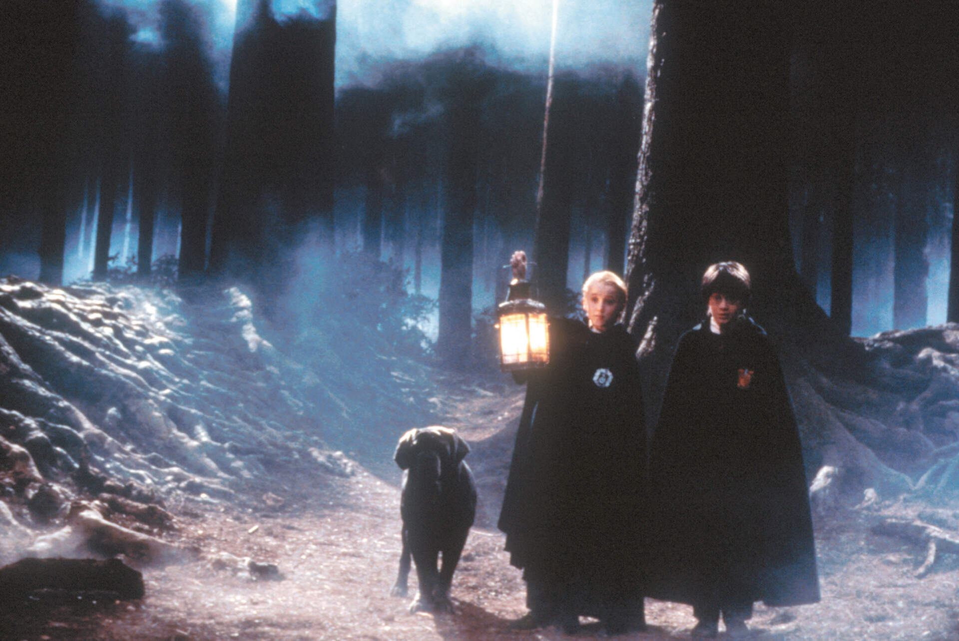 Harry Potter 1 - 20th Anniversary Version - Szenenbild 9 von 18