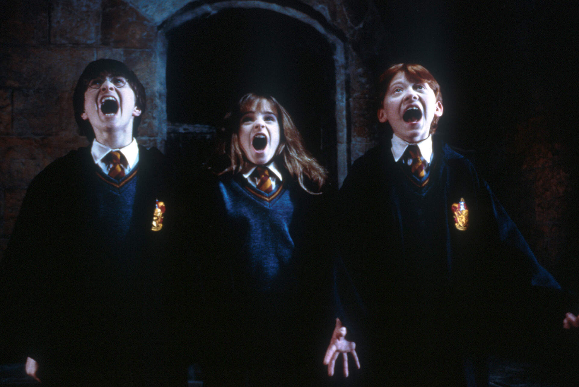 Harry Potter 1 - 20th Anniversary Version - Szenenbild 11 von 18