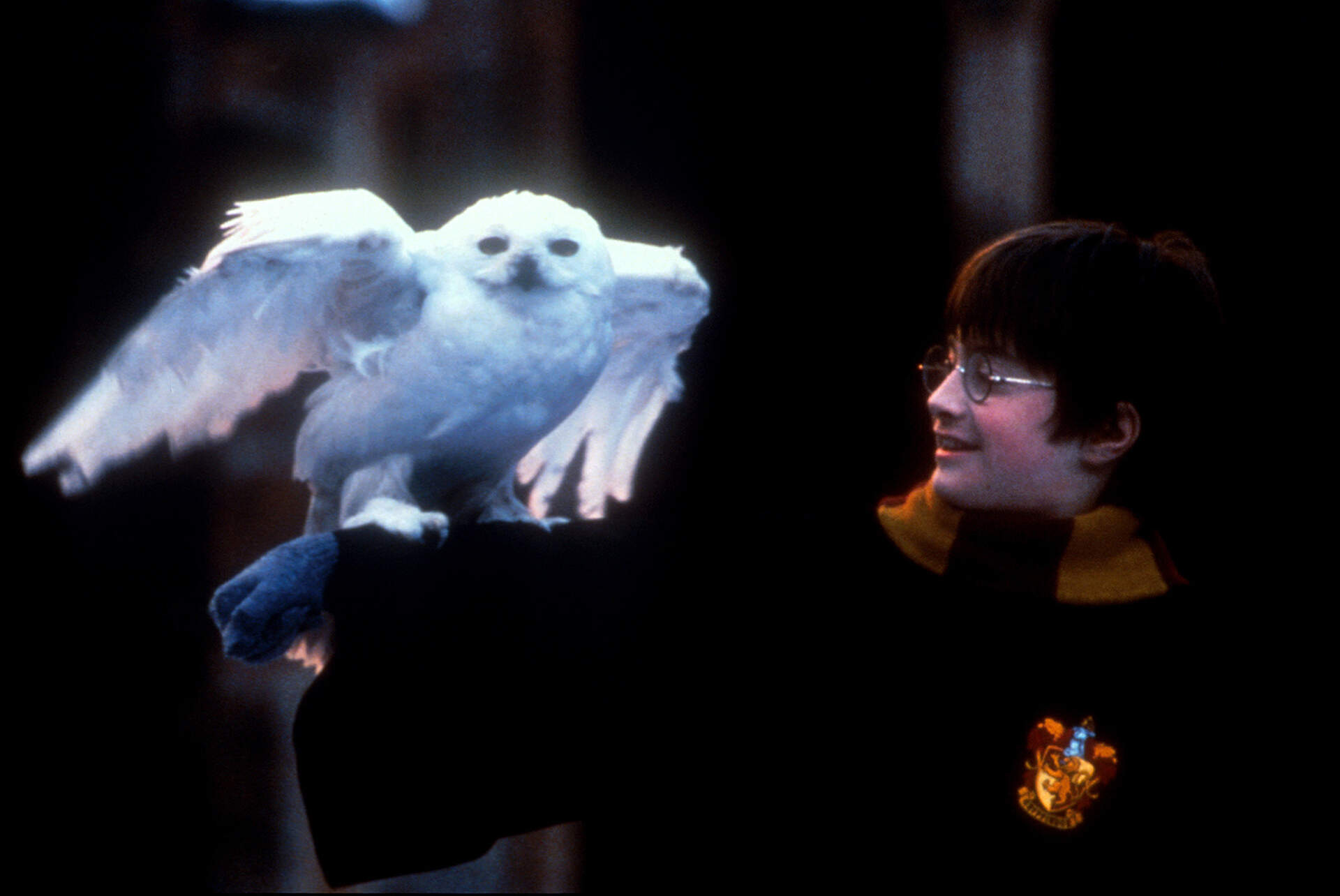 Harry Potter 1 - 20th Anniversary Version - Szenenbild 18 von 18