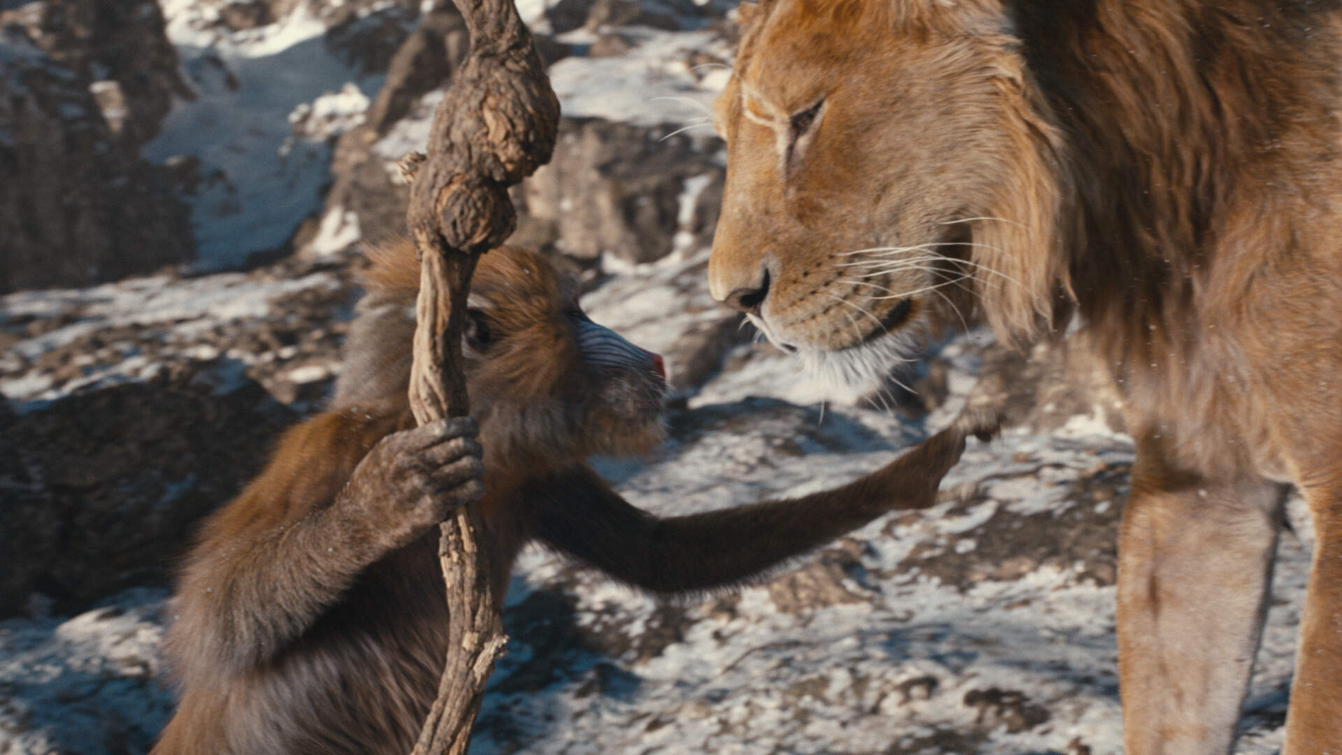 Mufasa: Der König der Löwen - Szenenbild 2 von 7