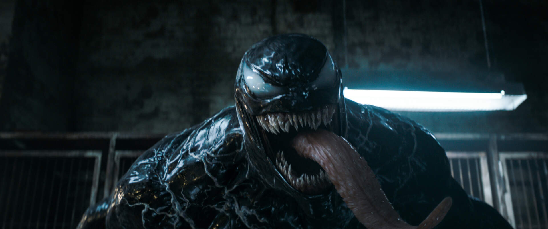 Venom: The Last Dance - Szenenbild 1 von 7