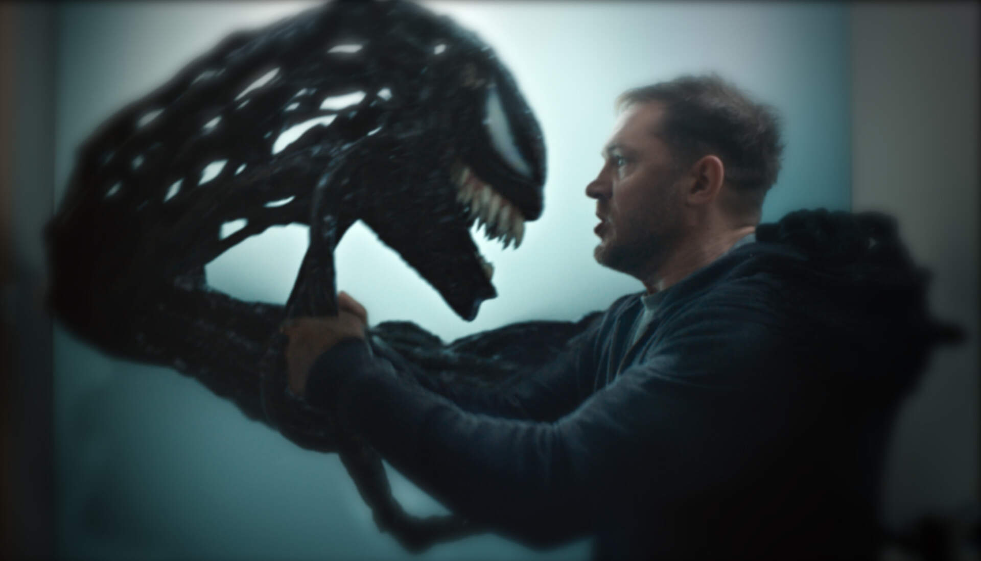 Venom: The Last Dance - Szenenbild 5 von 7