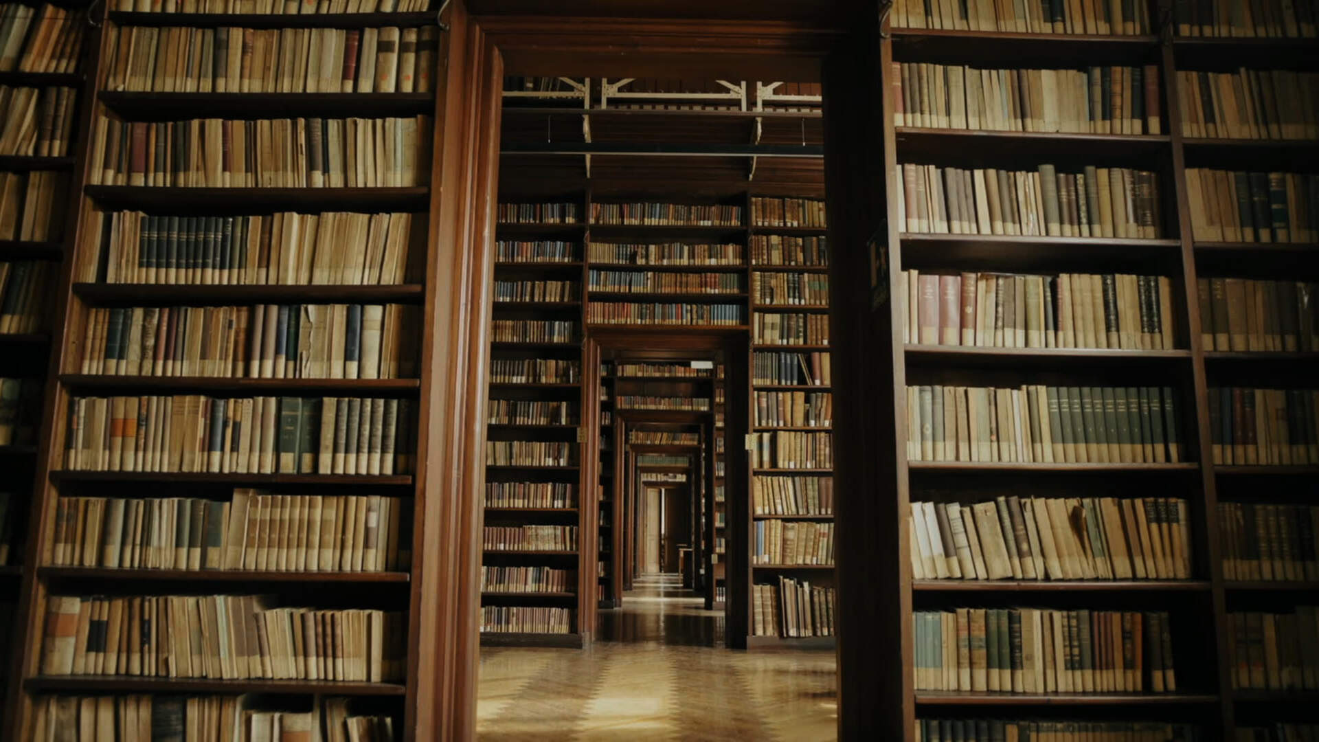 Umberto Eco- Eine Bibliothek der Welt (ital.) - Szenenbild 1 von 1