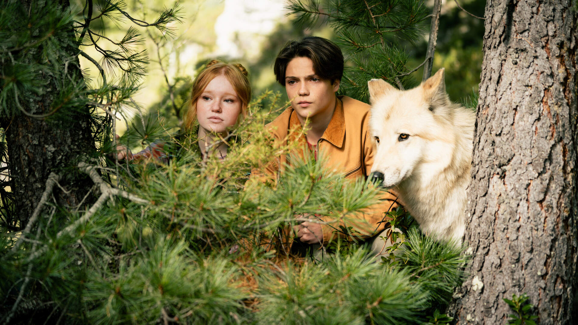 Woodwalkers 2 - Szenenbild 1 von 1