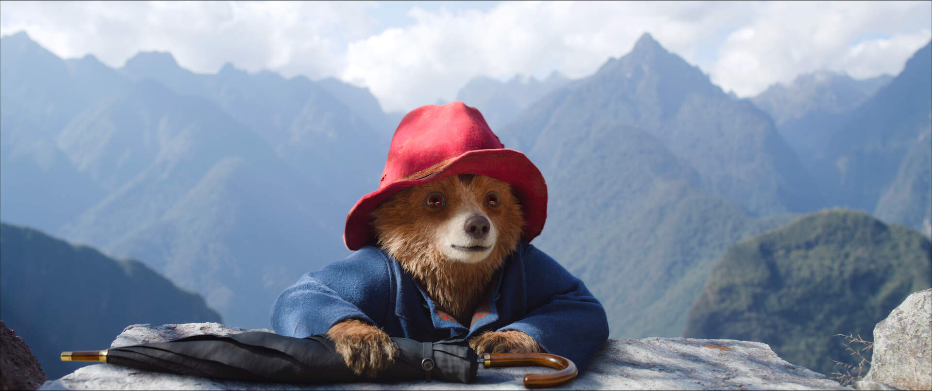 Paddington in Peru - Szenenbild 1 von 7