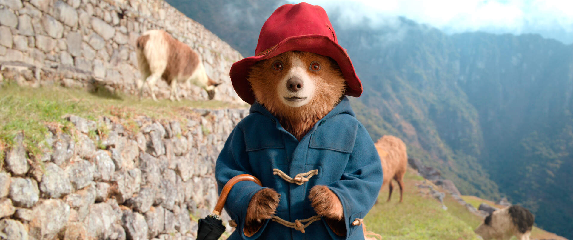 Paddington in Peru - Szenenbild 6 von 7