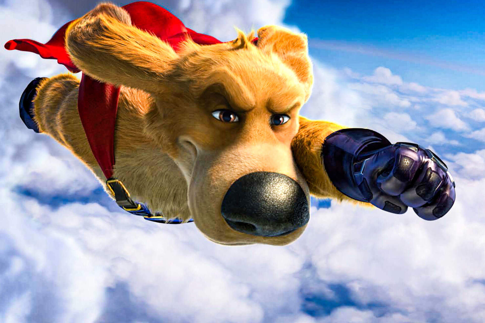 Charlie - Der Superhund - Szenenbild 1 von 7