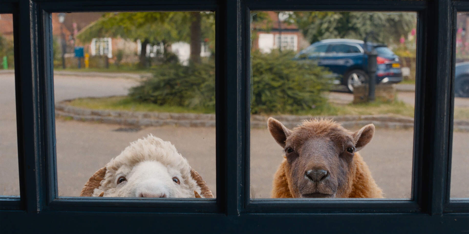 Glennkill: Ein Schafskrimi - Szenenbild 5 von 6