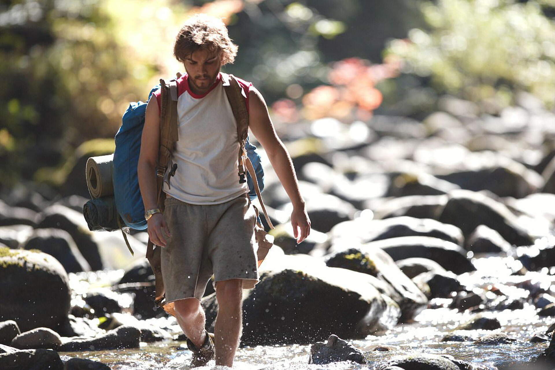 Into the Wild (Best of Cinema) - Szenenbild 1 von 23