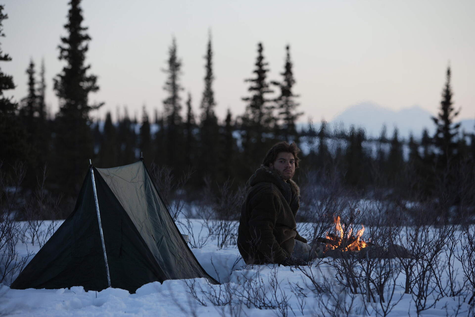 Into the Wild (Best of Cinema) - Szenenbild 6 von 23