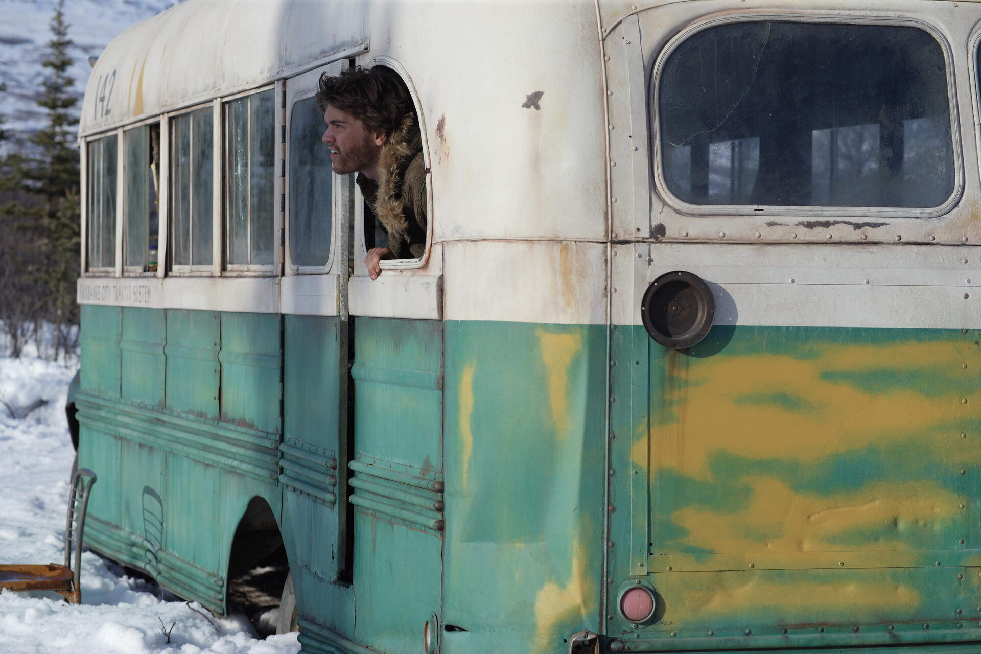 Into the Wild (Best of Cinema) - Szenenbild 12 von 23