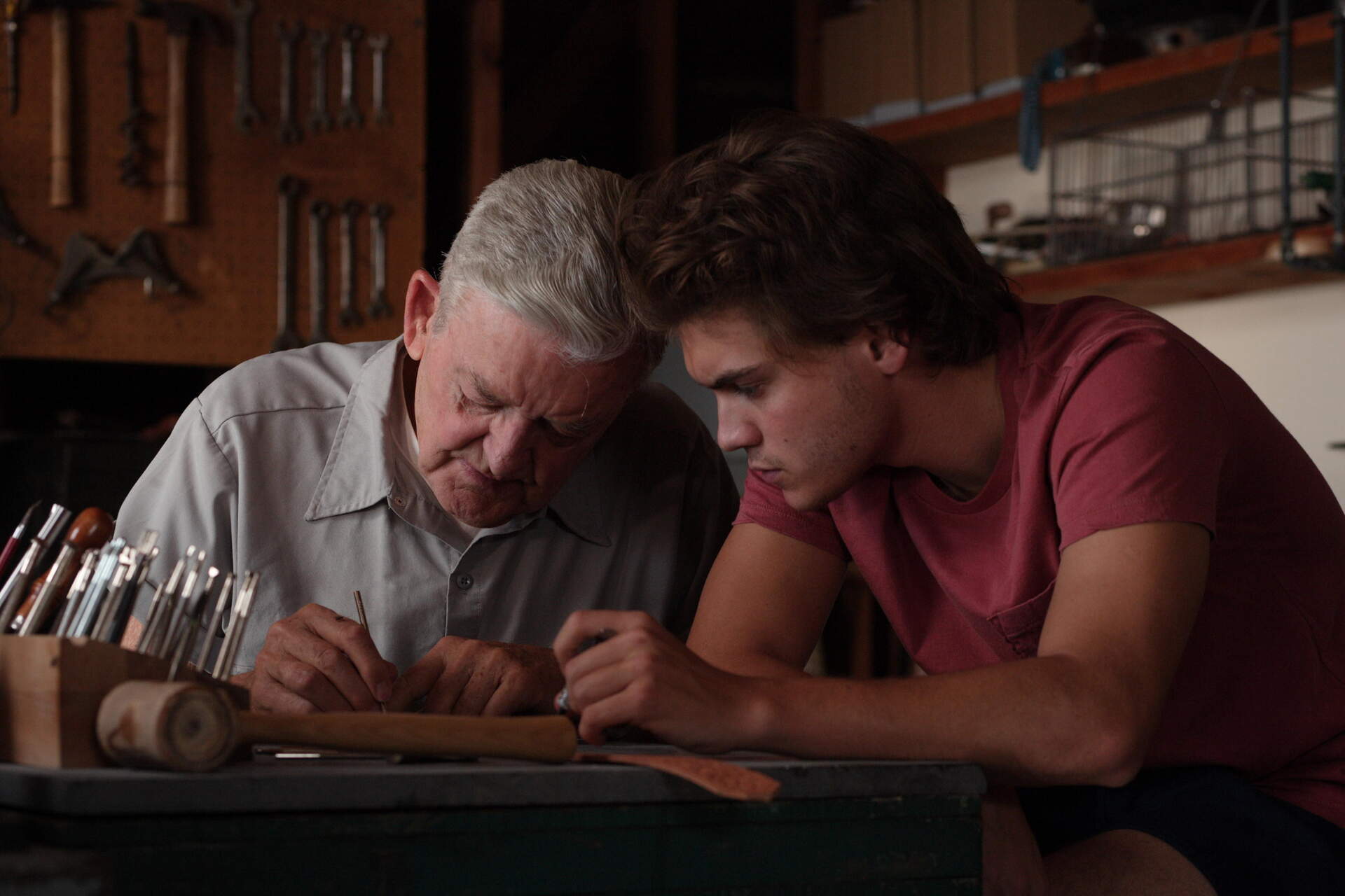 Into the Wild (Best of Cinema) - Szenenbild 22 von 23