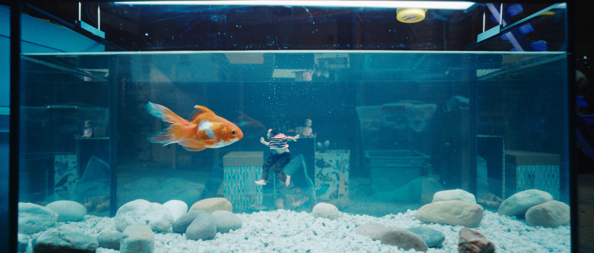 Der Mann, der immer kleiner wurde - Die unglaubliche Geschichte des Mr. C - Szenenbild 7 von 7