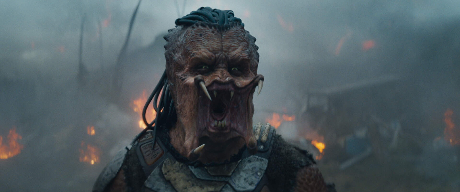 Predator: Badlands - Szenenbild 1 von 7
