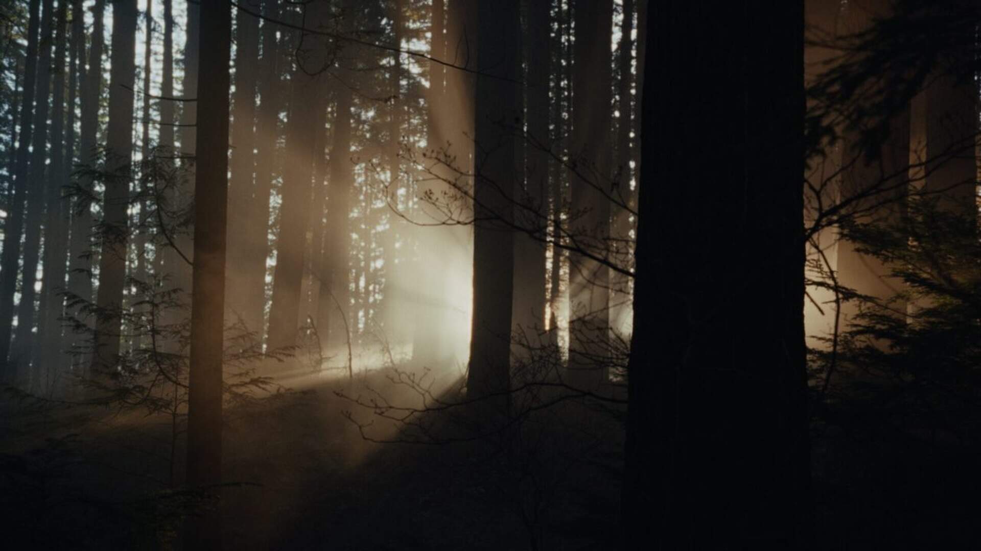 Keeper - Szenenbild 1 von 1