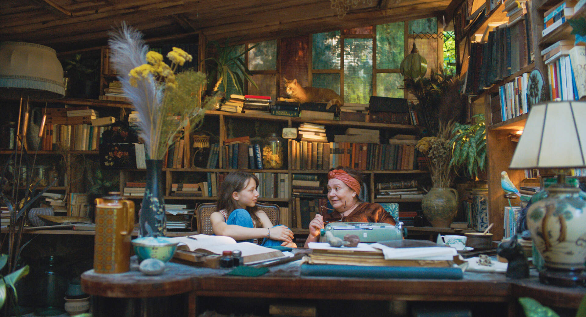 I Accidentally Wrote a Book - Der Sommer, als (m)ich meine Geschichte fand - Szenenbild 1 von 1