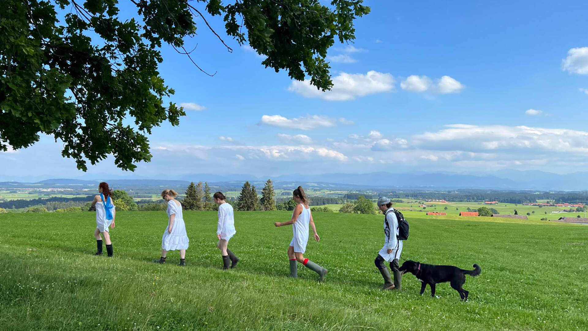 Überall gibt es ein Hausen - Szenenbild 1 von 1