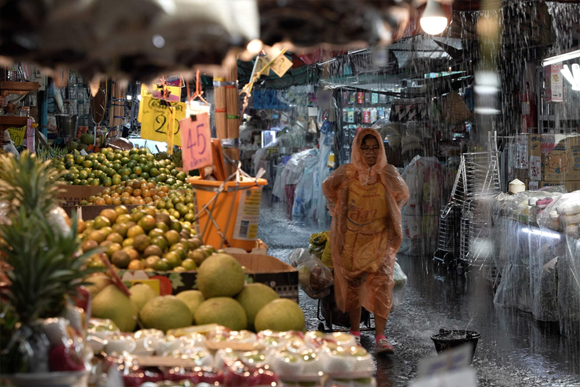 Siam Diary - Ein Film über das Reisen - Szenenbild 1 von 1