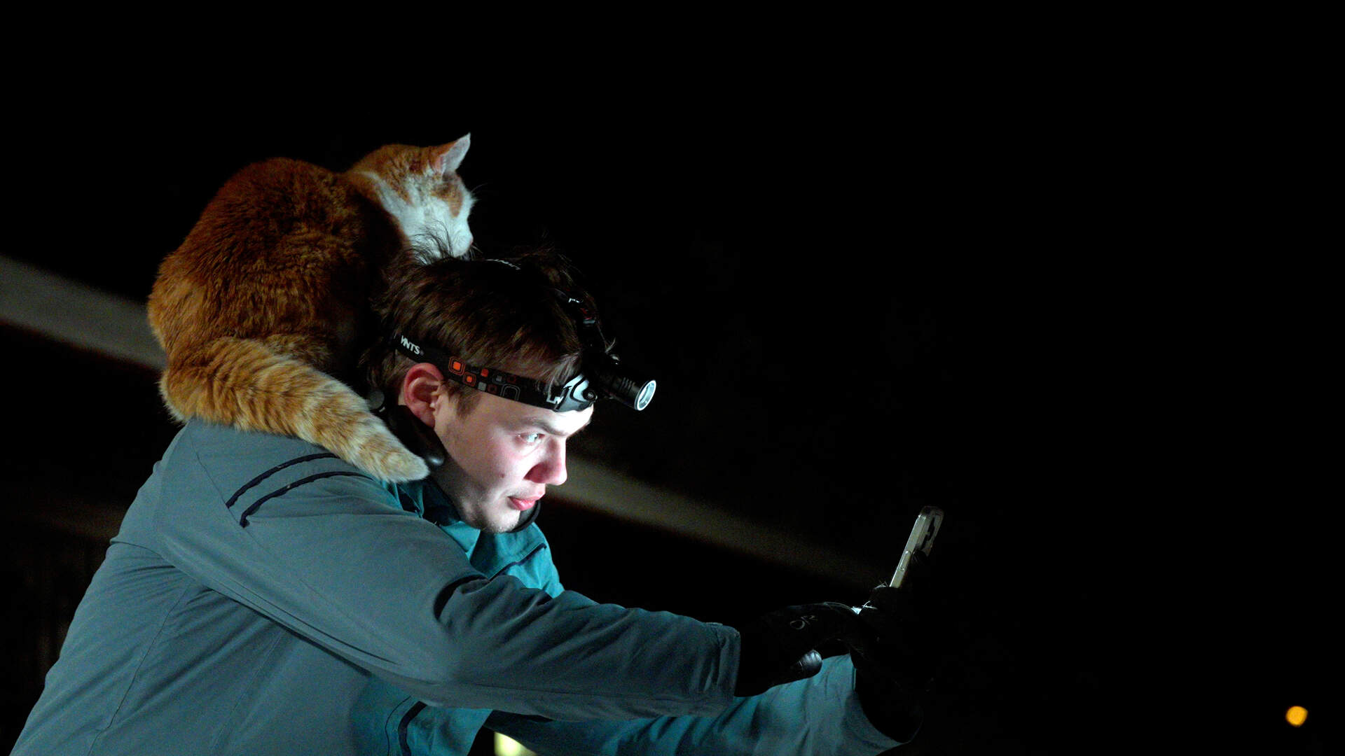 Folktales - Szenenbild 1 von 1