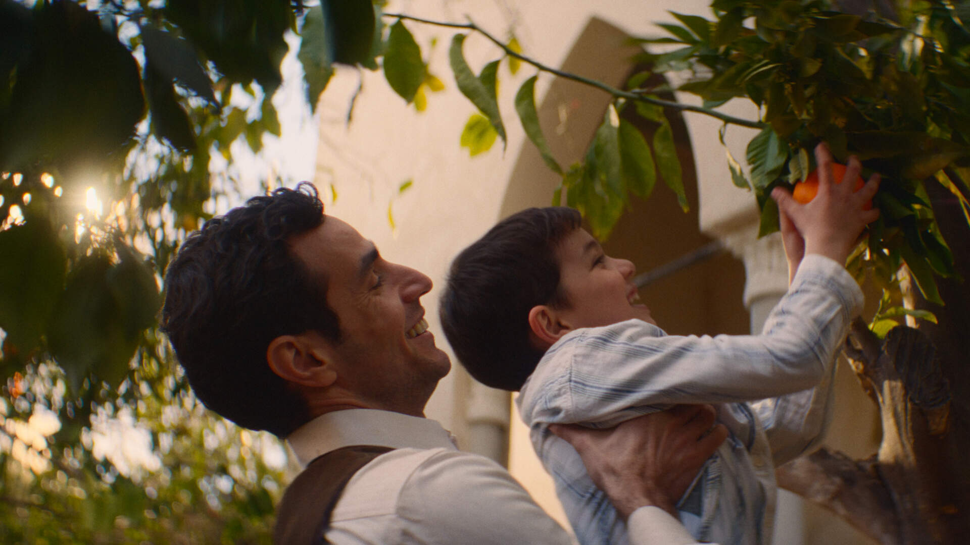 Im Schatten des Orangenbaums - Szenenbild 1 von 1