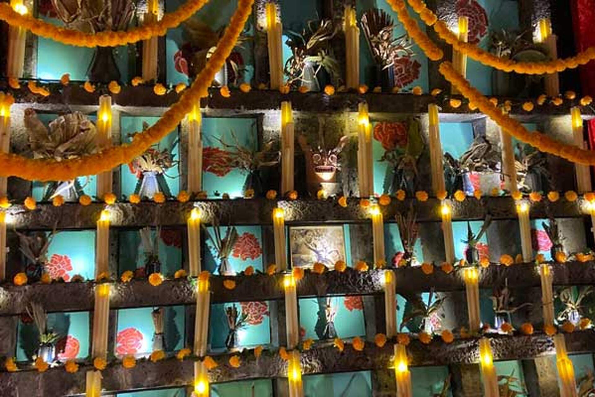 FRIDA KAHLO (Exhibition on Screen) - Szenenbild 1 von 2