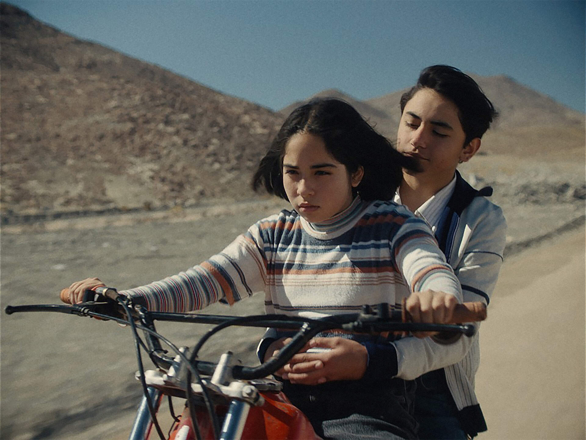 Der Geheimnisvolle Blick des Flamingos (span.) - Szenenbild 1 von 1