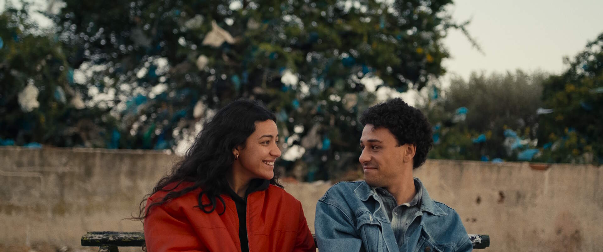 Wohin der Wind uns trägt (arab.) - Szenenbild 1 von 1