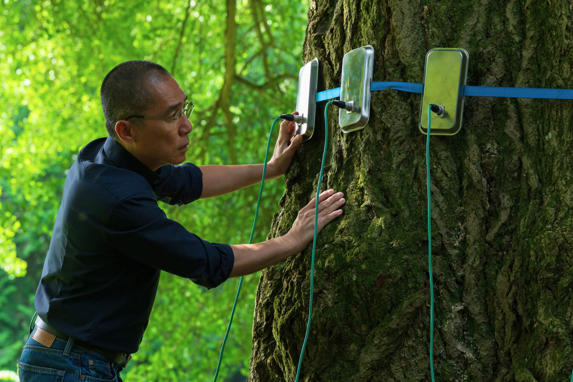 Silent Friend - Szenenbild 1 von 1