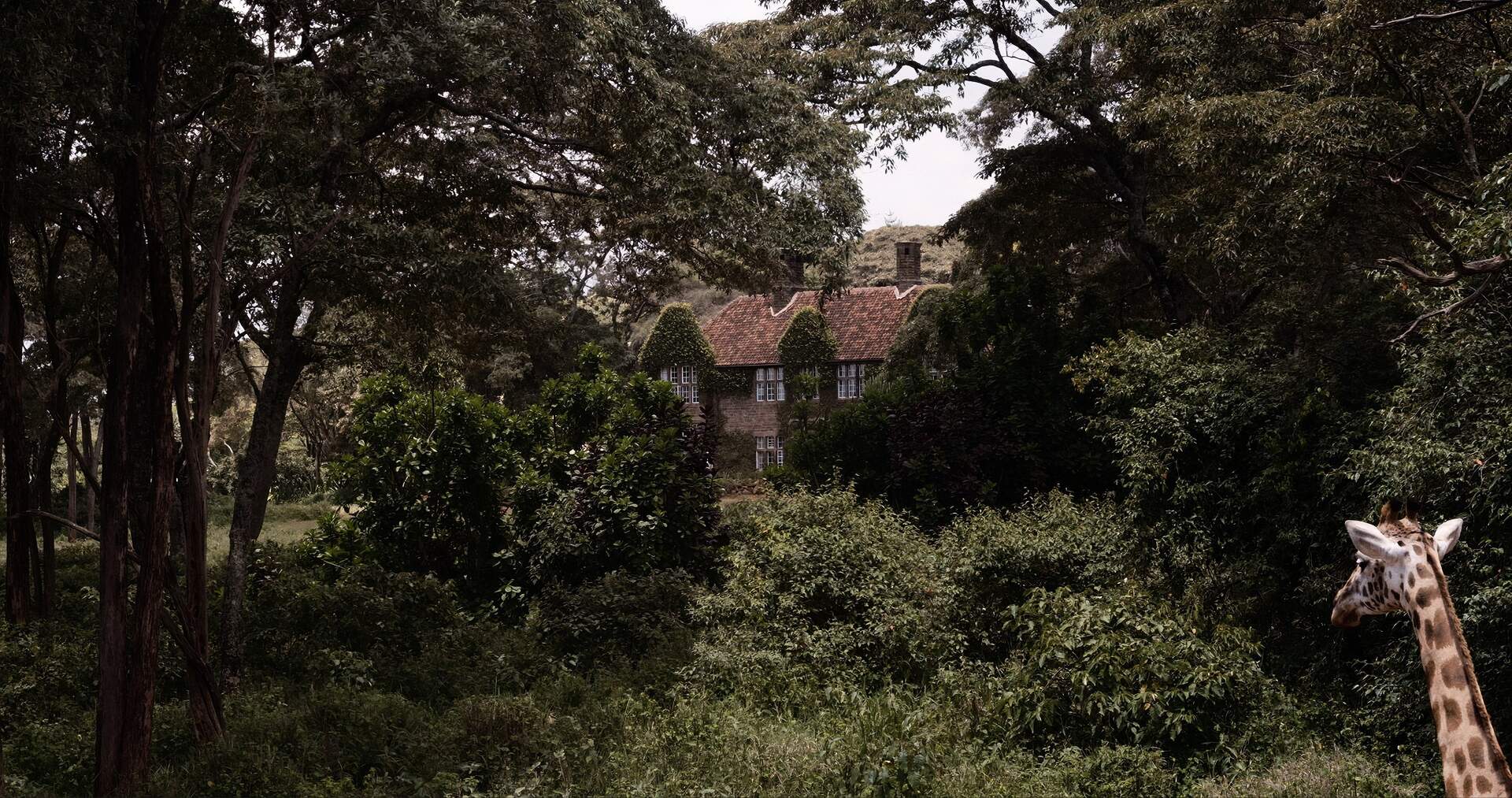 SR - Szenenbild 1 von 1