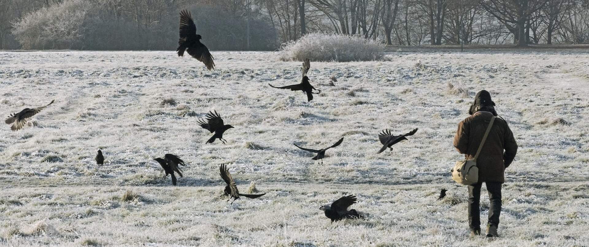 Watching People Watching Birds - Szenenbild 1 von 1
