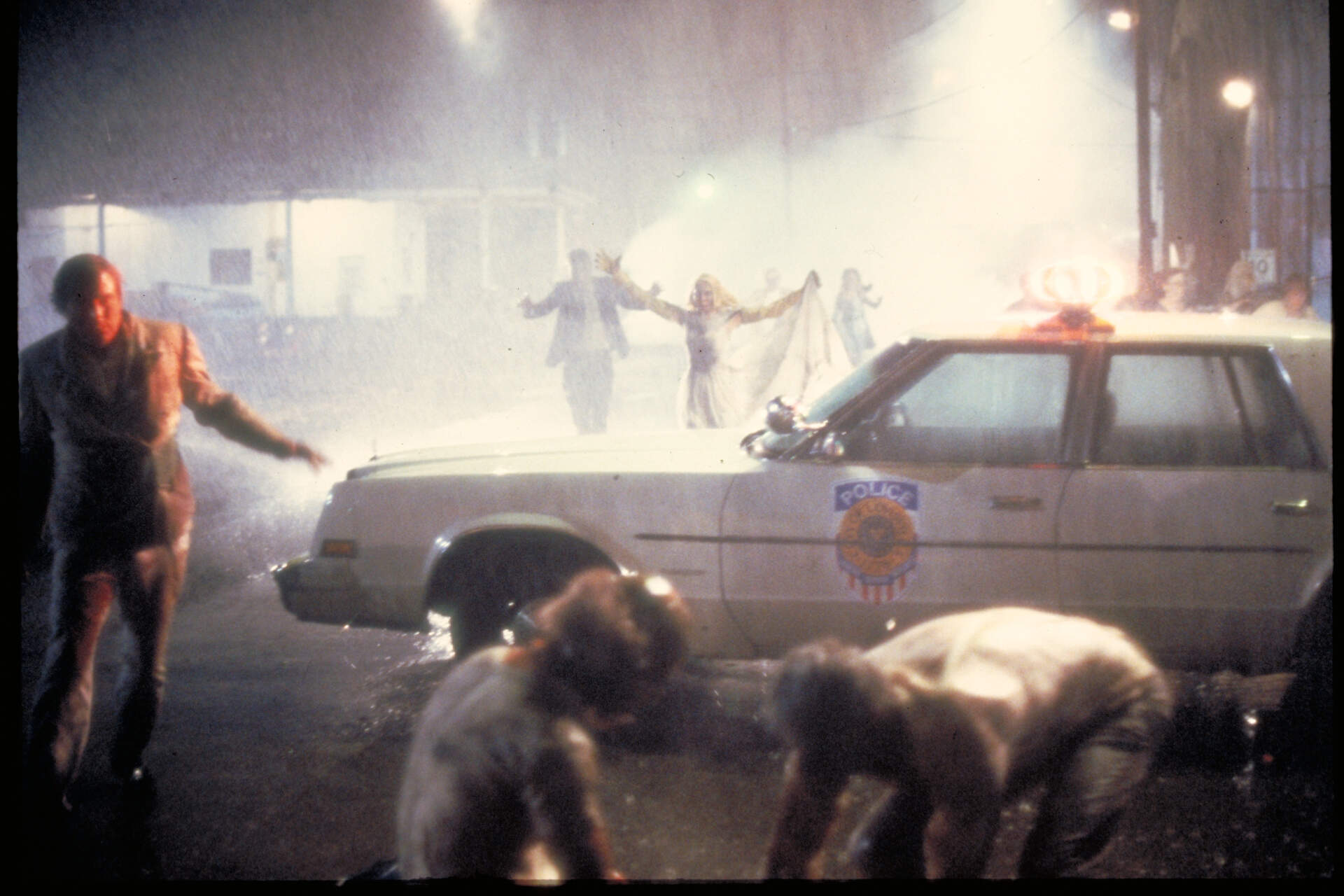 Verdammt, die Zombies kommen - Szenenbild 5 von 5