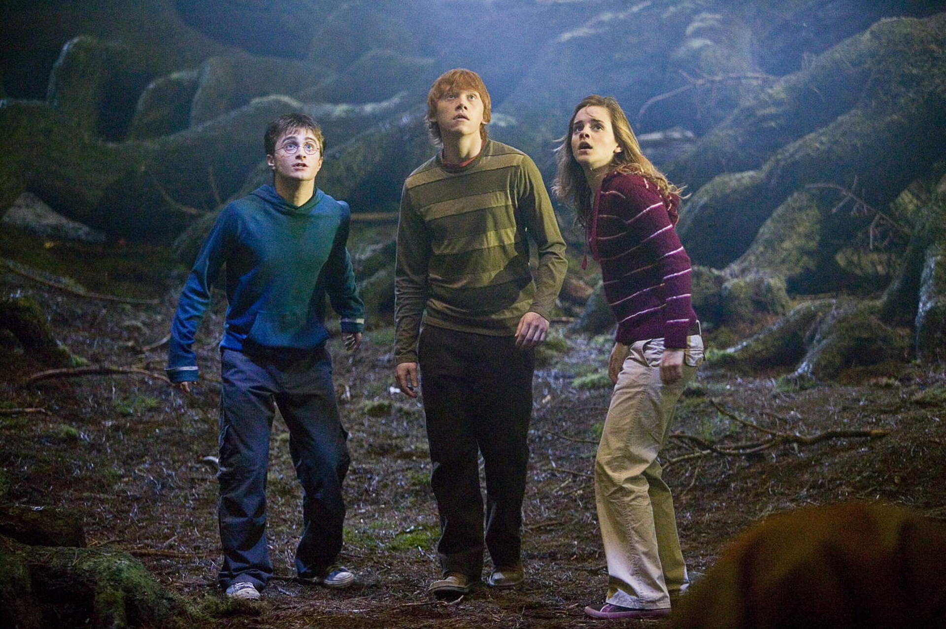 Harry Potter 5 und der Orden des Phoenix - Szenenbild 14 von 26