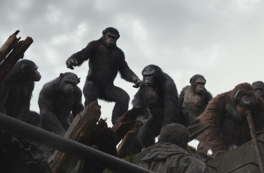 Planet der Affen - Revolution - Szenenbild 23 von 27