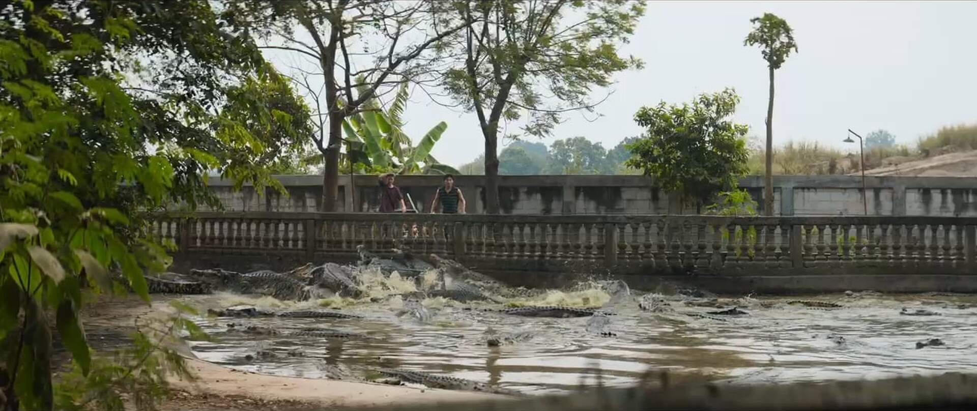 Crocodile Tears (engl.) - Szenenbild 1 von 1