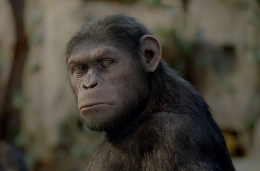 Planet der Affen - PRevolution - Szenenbild 6 von 32