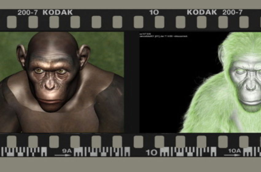 Planet der Affen - PRevolution - Szenenbild 8 von 32